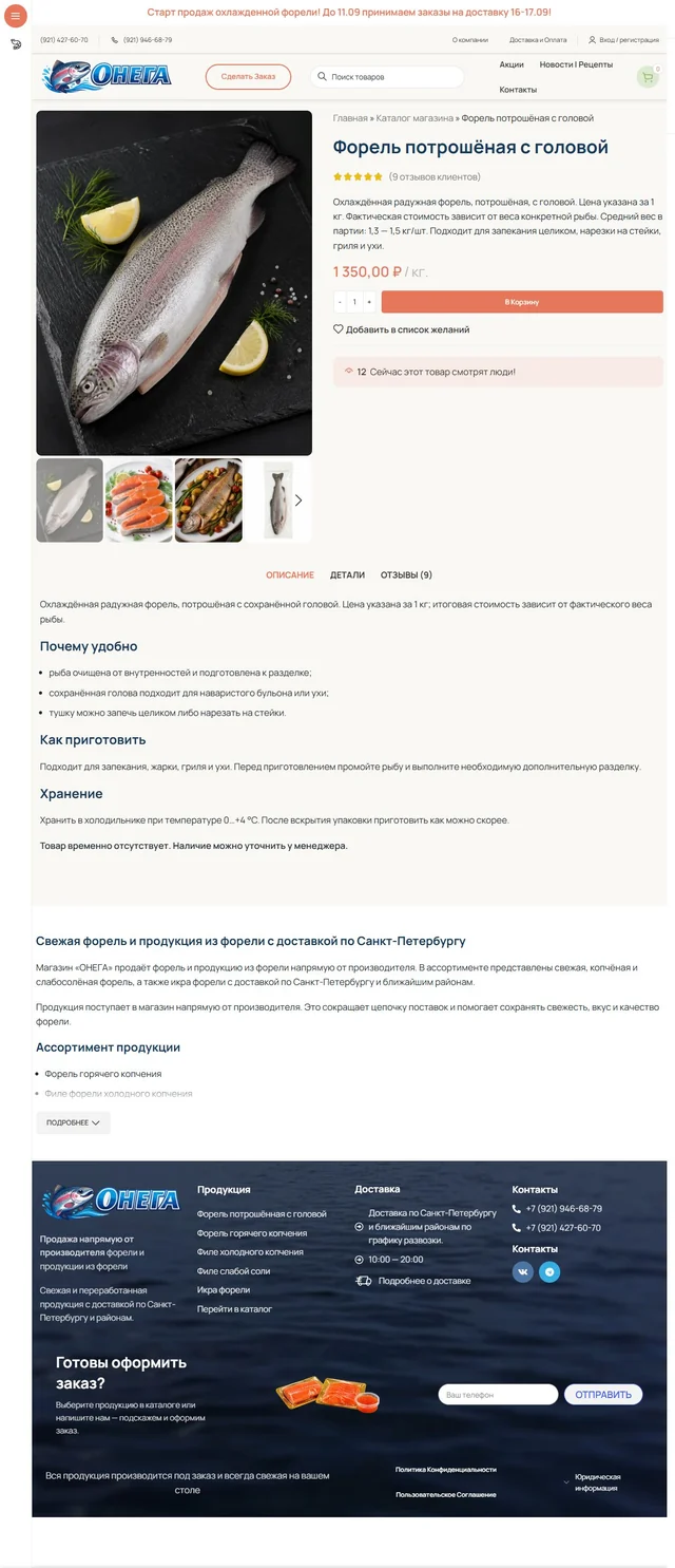Полная страница сайта — Карточка товара
